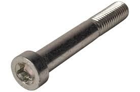 Torx-Schraube - M8x97 mm - geeignet für den AL-KO AKS2004