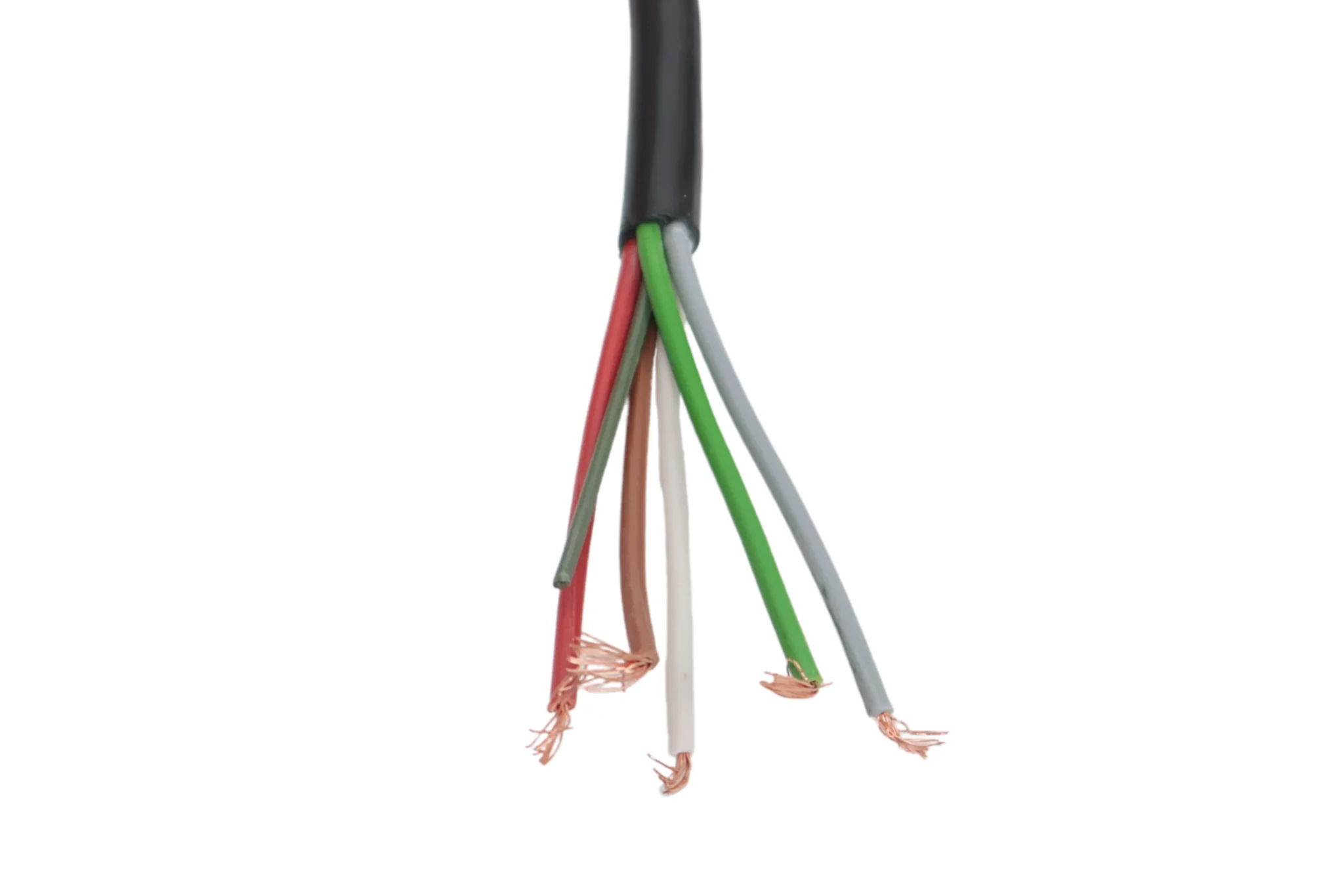 Radex 5-poliger Stecker/Adapter - weiß - inklusive 2 m Kabel - Image 4