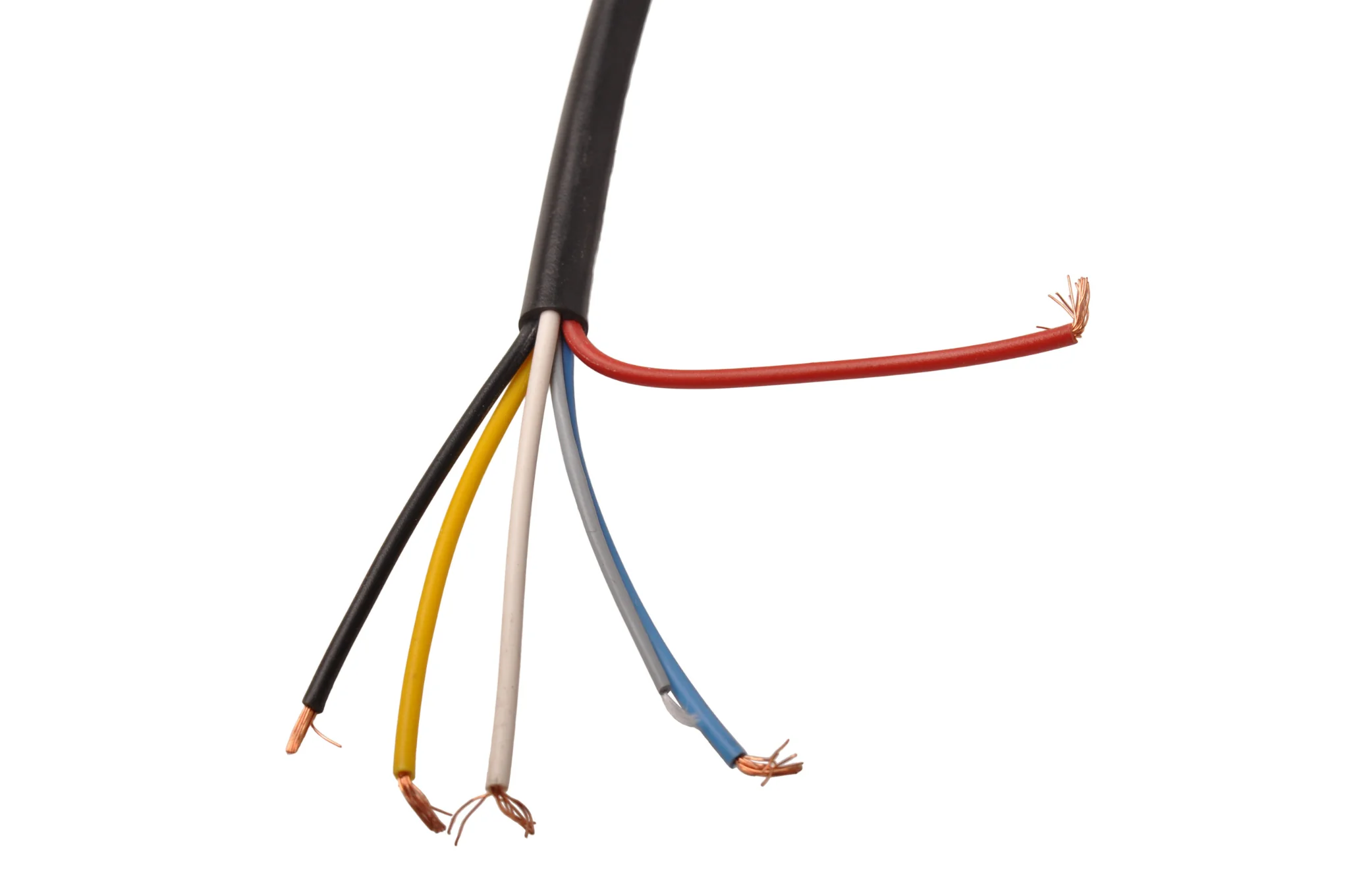 Stecker / Adapter rot mit 2 m Kabel - Image 4